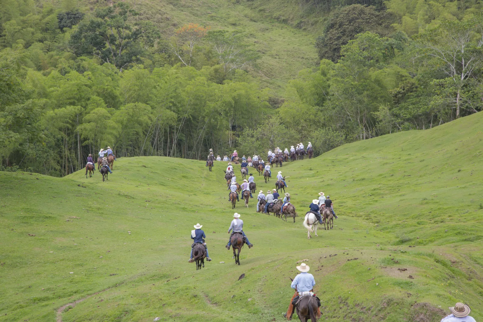 cabalgata_2