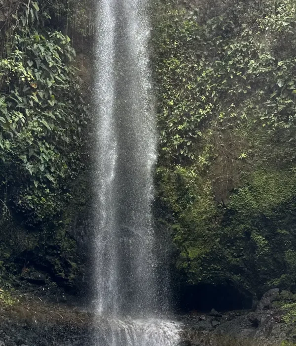 CASCADA 01