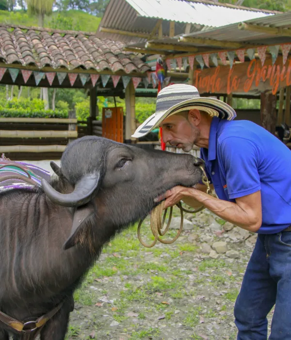 granja_4