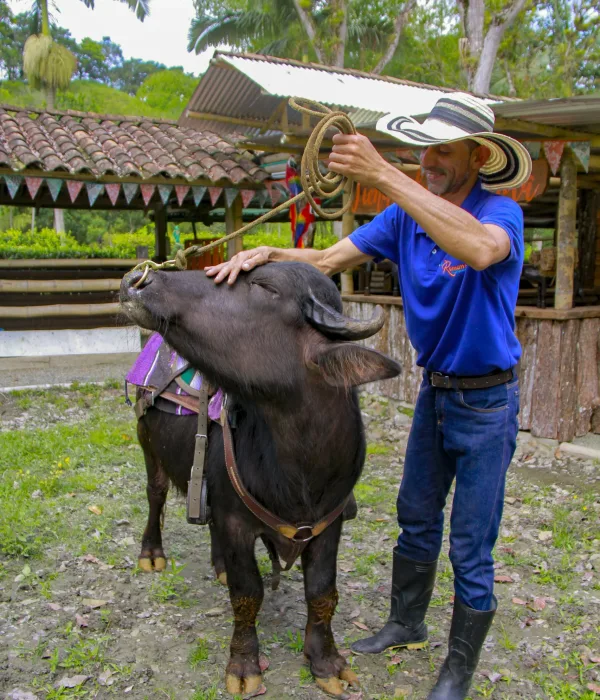 granja_exhibicion